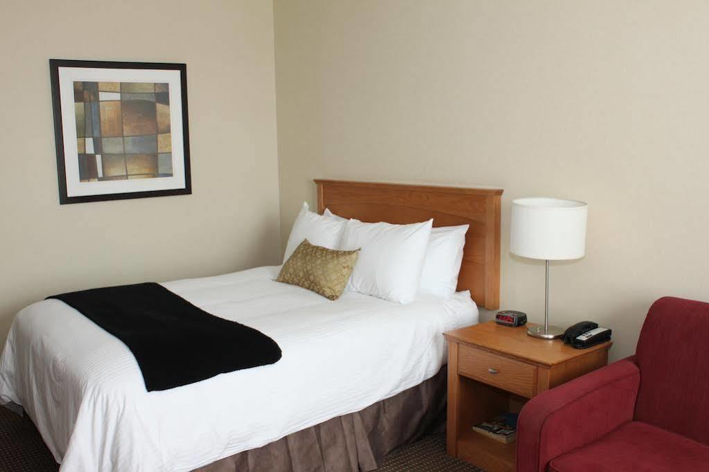 And Conference Centre Hotel 3*